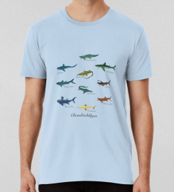 Ancient Jaws Prehistoric Sharks T-shirt